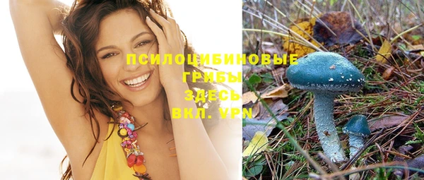 ПСИЛОЦИБИНОВЫЕ ГРИБЫ Верея