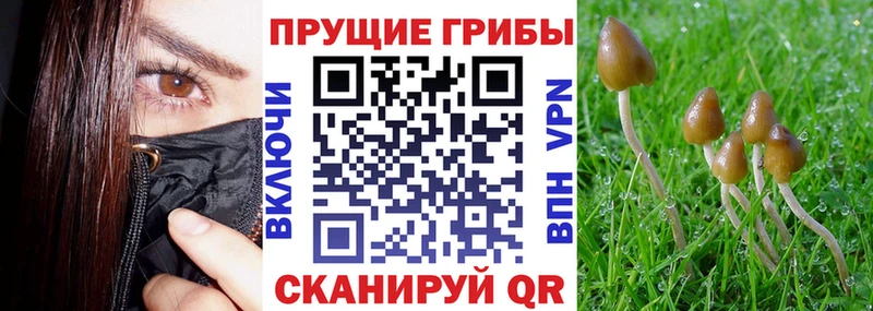 Псилоцибиновые грибы ЛСД  Купить закладки  Демидов 